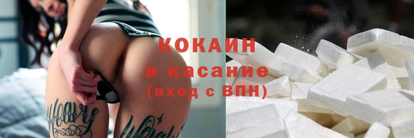 спиды Богданович