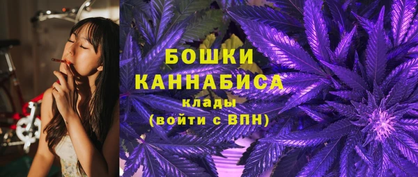 спиды Богданович