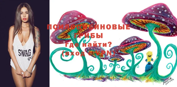спиды Богданович
