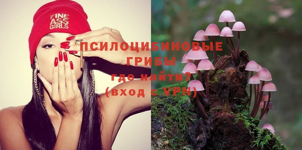 MDMA Богородицк