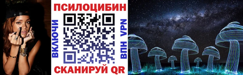 Галлюциногенные грибы Psilocybine cubensis  как найти закладки  Курильск 